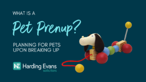 pet prenup